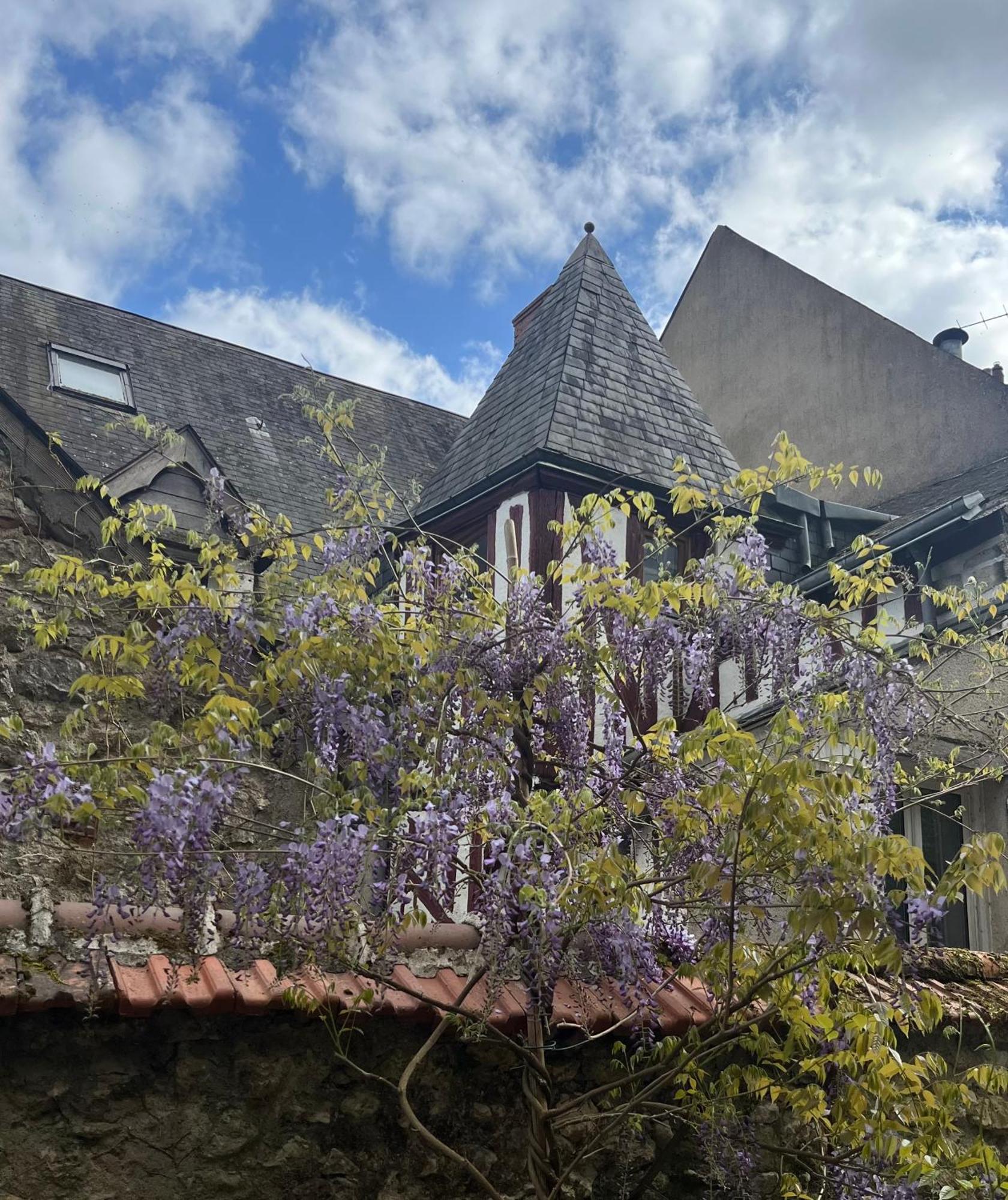 Chatel Rose - Historical Centre With Garden Μπλουά Εξωτερικό φωτογραφία